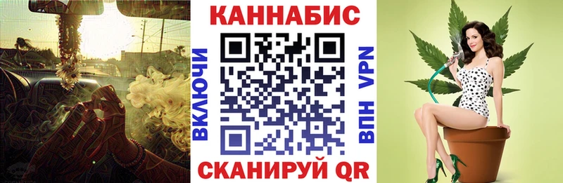 блэк спрут tor что такое Истра Конопля индика